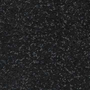 G010