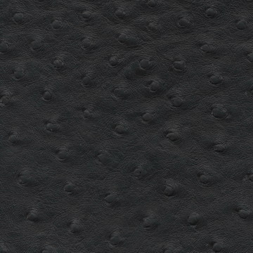 G116